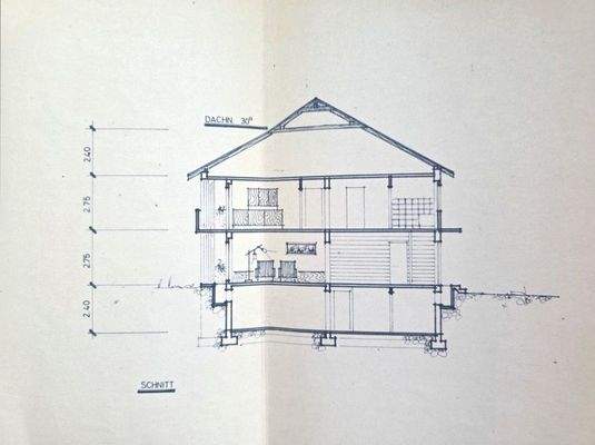 Grundrisse DHH Wyhlen Schnitt