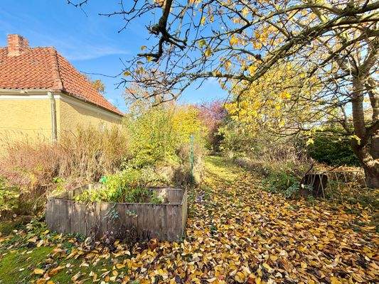 Nebengebäude, Garten
