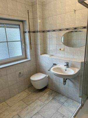 Gäste-WC mit Dusche Erdgeschoss