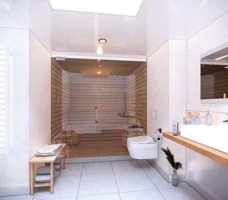 Visualisierung Badezimmer, Sauna im Penthouse