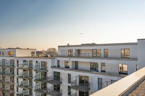 Hamburg Wohnungen, Hamburg Wohnung kaufen