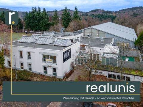 Schriesheim / Altenbach Renditeobjekte, Mehrfamilienhäuser, Geschäftshäuser, Kapitalanlage