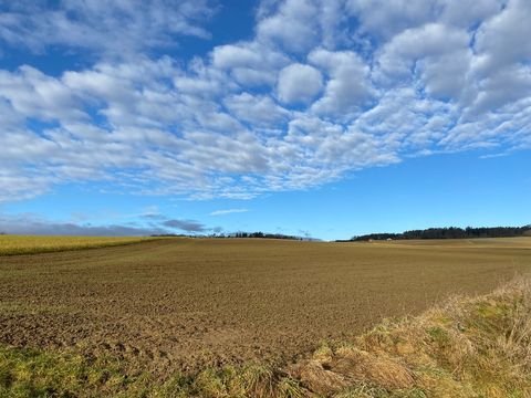 Essenbach / Mirskofen Bauernhöfe, Landwirtschaft, Essenbach / Mirskofen Forstwirtschaft