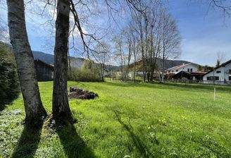 Die Insel Ihrer Möglichkeiten