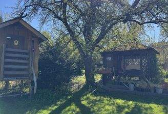 Garten mit Obstbäumen