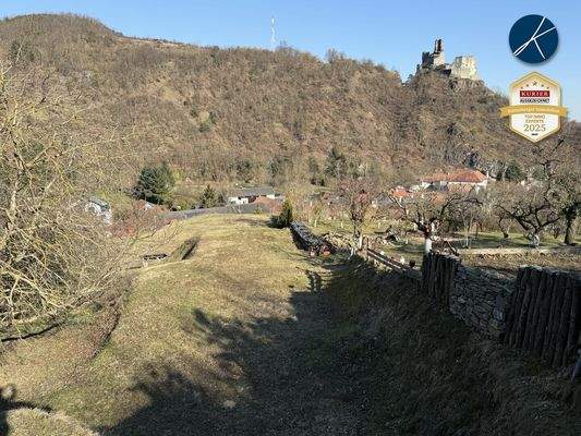 Weitläufiger Naturgarten