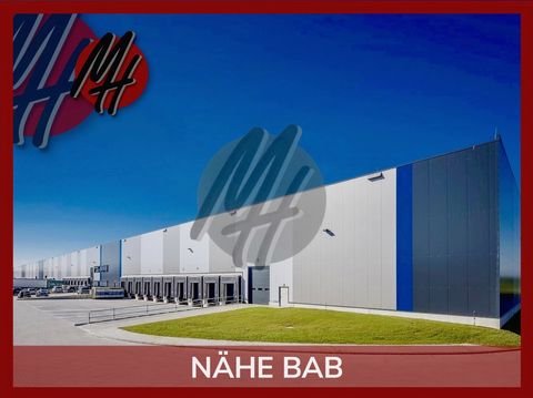 Dieburg Halle, Dieburg Hallenfläche