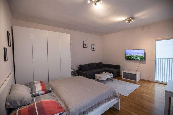 Sleeping / Living Room