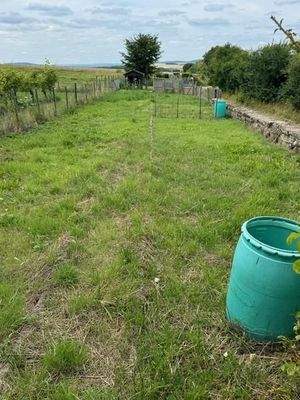 9 separater Garten (1)