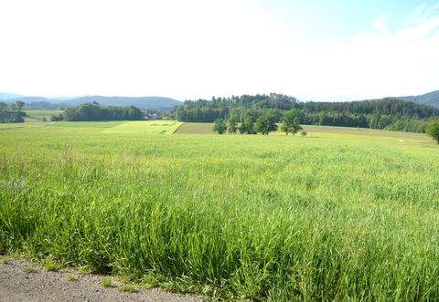 Feldkirchen in Kärnten Grundstücke, Feldkirchen in Kärnten Grundstück kaufen