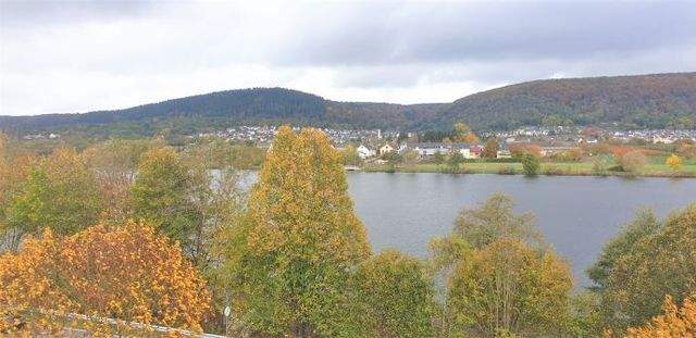 Aussicht Moselseitig