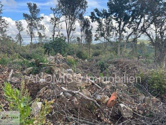 Grundstück 8 ha