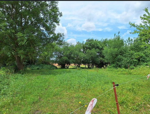 Ansicht Grünland.png