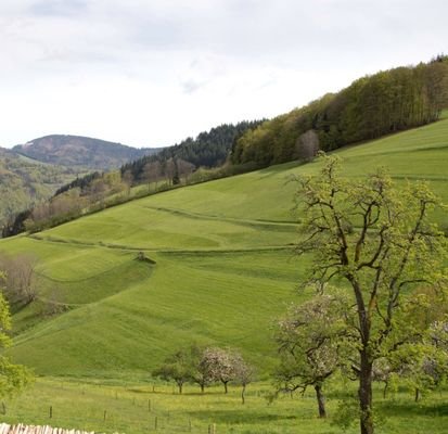 Aussicht von der Terrasse