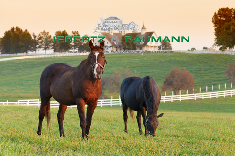 Halle (Saale) Bauernhöfe, Landwirtschaft, Halle (Saale) Forstwirtschaft