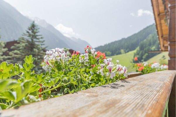 Ausblich Richtung Gletscher