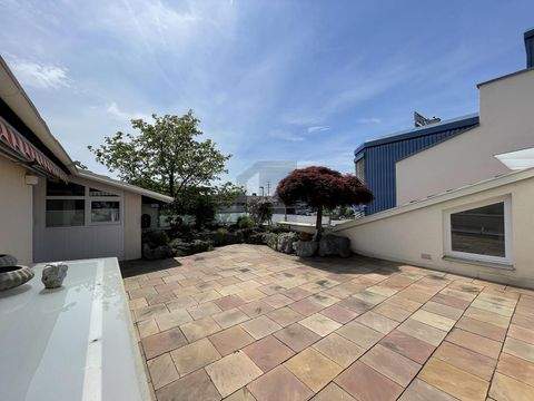 Binzen Halle, Binzen Hallenfläche