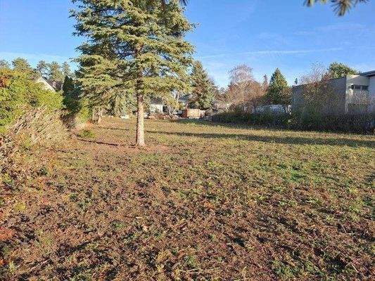 linke Grundstücksseite von vorn