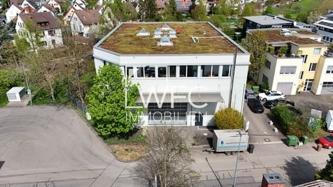 Korntal-Münchingen Halle, Korntal-Münchingen Hallenfläche