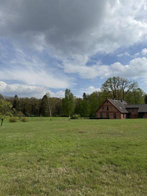 Walsrode / Stellichte Grundstücke, Walsrode / Stellichte Grundstück kaufen