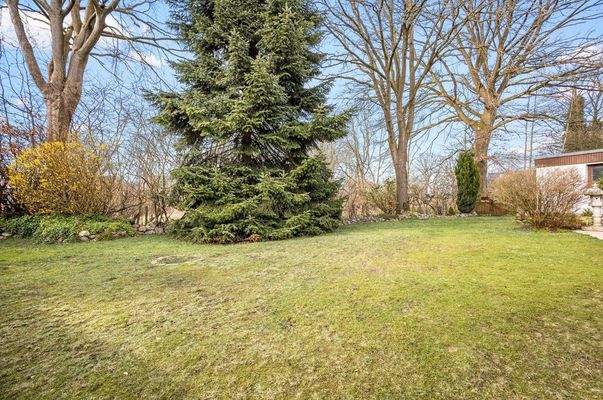 Blick ins Naturgebiet