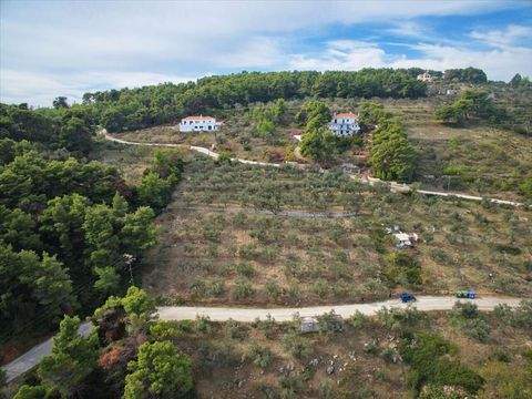 Sporaden Bauernhöfe, Landwirtschaft, Sporaden Forstwirtschaft