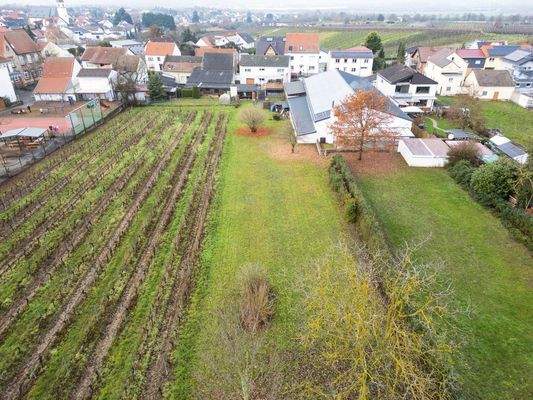 Feldrandlage Frei-Laubersheim