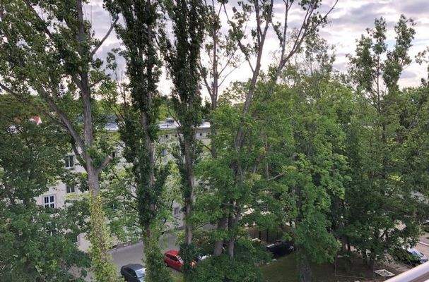 Ausblick Gartenseite