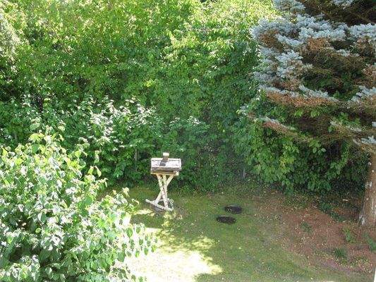 An dieser Trink- und Badeanstalt stehen die Vögel 