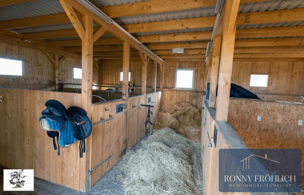 Reitanlage (6)
