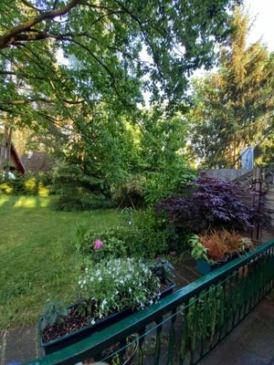 Blick in den Garten im Sommer