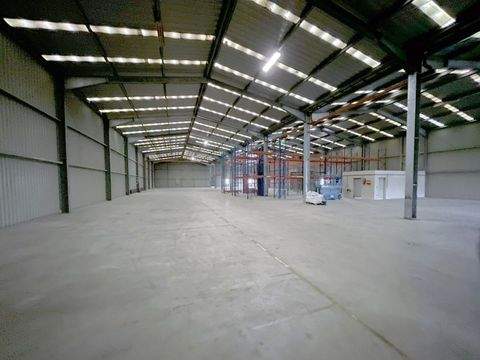 Erbach Halle, Erbach Hallenfläche