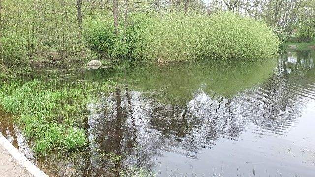 Teich - Erholungsfaktor