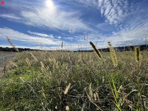 Hitzendorf Grundstücke, Hitzendorf Grundstück kaufen