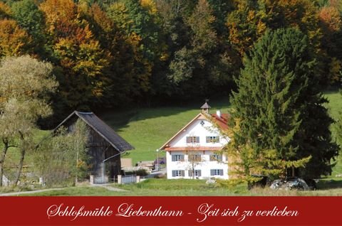 Obergünzburg Bauernhöfe, Landwirtschaft, Obergünzburg Forstwirtschaft