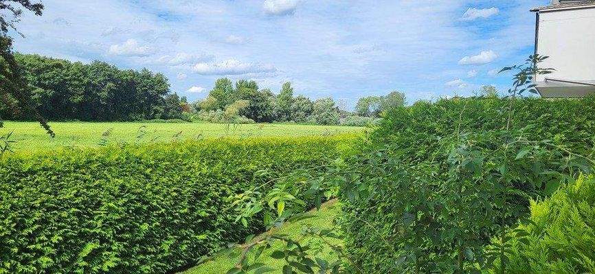 Blick aus dem Wohnzimmer