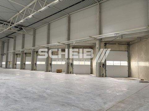 Schwäbisch Hall Halle, Schwäbisch Hall Hallenfläche