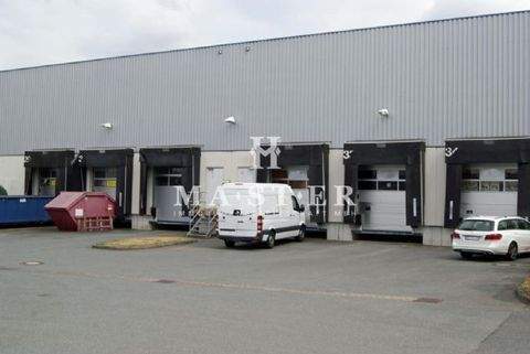 Köln Halle, Köln Hallenfläche