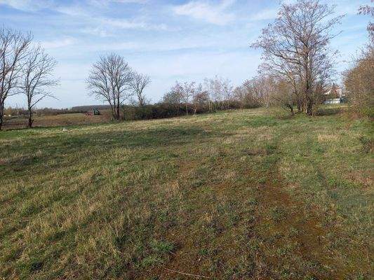 An der Vogelweide.jpg