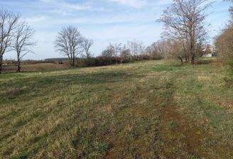 An der Vogelweide.jpg