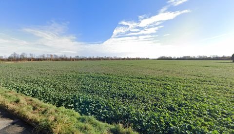 Unterhaching Bauernhöfe, Landwirtschaft, Unterhaching Forstwirtschaft