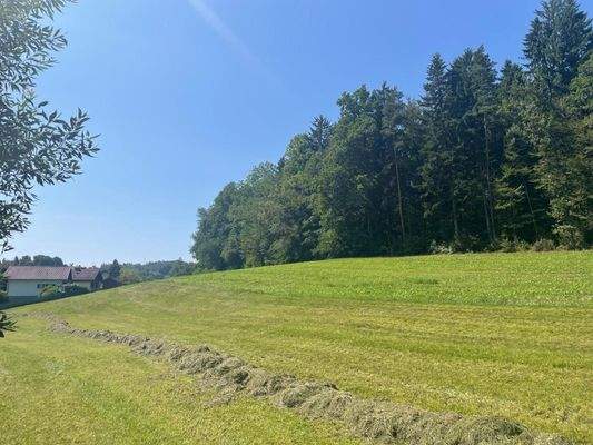 PHOTO-2025-08-12-13-41-03 (4).jpg