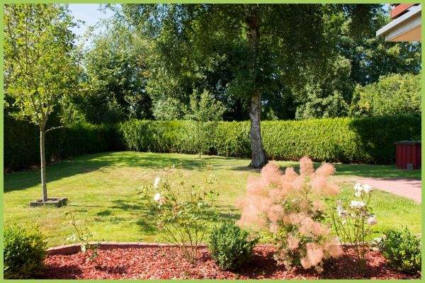 weitere Ansicht vom Garten