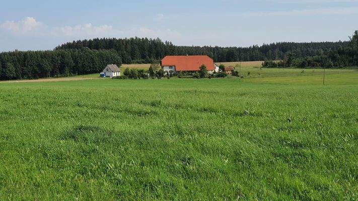 Traumhafte Alleinlage