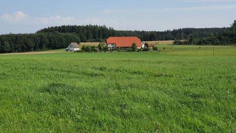 Sauldorf Häuser, Sauldorf Haus kaufen