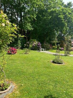 Garten im Grünen (Sommer)