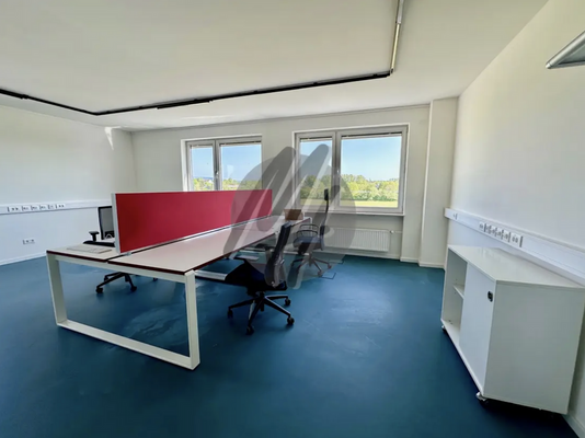 INFOS UNTER: 06171-586000