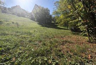IMG 20260923 131418