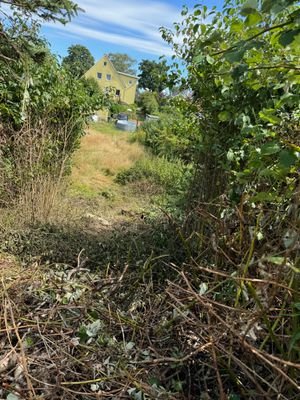 Blick durch die rückwärtige Hecke