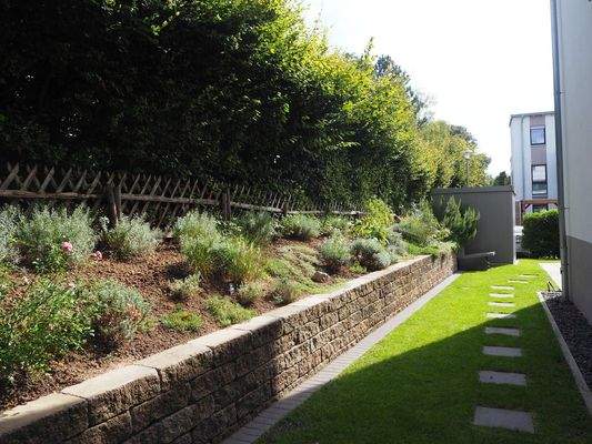 seitlicher Garten